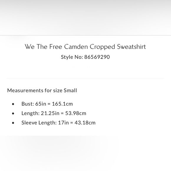 NWT Free People We The Free Camden Cropped Sweatshirt - Mint Julep - Picture 8 of 9